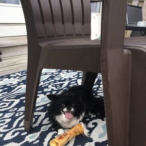 Meet your Posher, Jayne